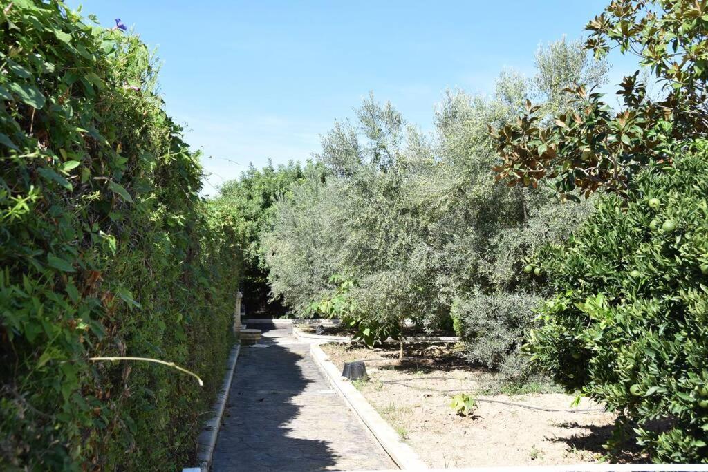 Casa Rural " La Bruja " セゴルベ エクステリア 写真
